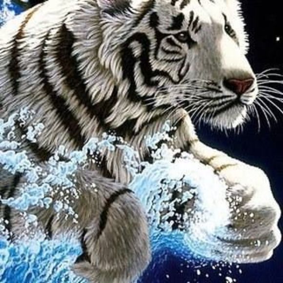 Meet your Posher, Param - Picture 1 of 1